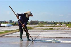 Thu nhập thấp, diêm dân bỏ hoang ruộng muối