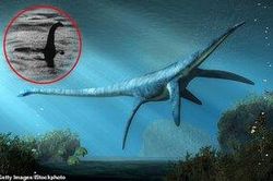 Phát hiện 'quái vật hồ Loch Ness ngoài đời thực' hơn 70 triệu năm