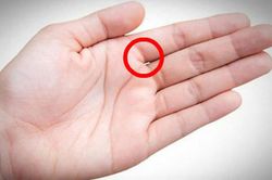 Chỉ 1 giây nhìn kẽ hở bàn tay, biết ngay tương lai nghèo khó hay giàu sang