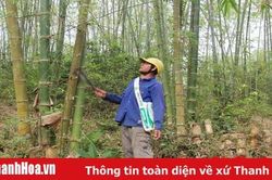 6.680 ha luồng được hỗ trợ phát triển thâm canh