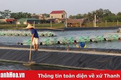 Huyện Tĩnh Gia tháo gỡ khó khăn trong xây dựng nông thôn mới