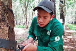 'Bàn tay vàng' được vinh danh toàn quốc