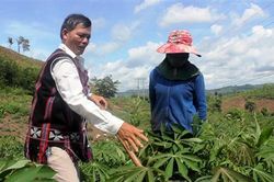 Gương sáng già làng ở bản A Ho