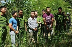 Bắt thêm nghi can hạ độc 10ha rừng thông ở Lâm Đồng