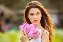 Ngẩn ngơ trước những cánh đồng sen đẹp nhất Việt Nam