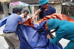 Những khuất tất trong việc tiêu hủy lợn dịch