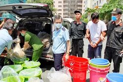 Giải mã quái chiêu những đường dây ma túy 'khủng'