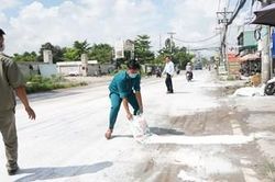 TP Hồ Chí Minh căng mình chống lây lan dịch tả lợn châu Phi