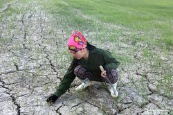 Gần 1.000 ha lúa hè thu ở Hưng Nguyên có nguy cơ chết cháy