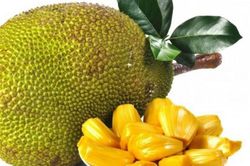 Đổi gió cuối tuần cho gia đình với 'Hội mít Sơn Đông 2019'