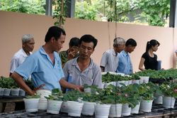 Ứng dụng công nghệ sinh học công nghệ cao vào sản xuất nông nghiệp