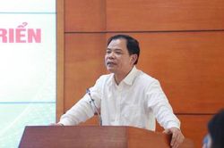Sẽ hỗ trợ kinh phí bảo vệ nguồn giống lợn