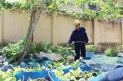 Thợ điện đảo Bích Đầm