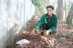 Bộ Y tế vào cuộc vụ phát hiện hơn 300 xác thai nhi tại nhà máy xử lý rác thải TP.Cà Mau