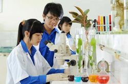 5 chuyên ngành học sẽ mở rộng cơ hội việc làm cho sinh viên