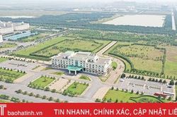 Formosa Hà Tĩnh phủ xanh hơn 137 ha cây xanh trong khuôn viên nhà máy