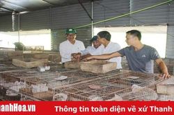 Huyện Thiệu Hóa hỗ trợ 5,3 tỷ đồng xây dựng các mô hình nông nghiệp ứng dụng tiến bộ khoa học - kỹ thuật