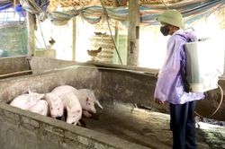 Người dân Hàm Yên chủ động phòng, chống DTLCP
