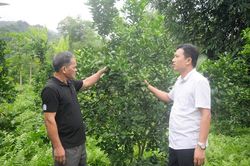 Bình An phát huy vai trò nêu gương của cán bộ, đảng viên