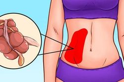Bắt bệnh chuẩn xác thông qua 9 vị trí đau bụng thường gặp