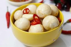 Loại quả người Việt cho là độc nhưng ở Nhật Bản coi như thần dược