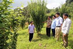 Tạo bước chuyển cho nông nghiệp Bắc Hà