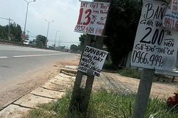 Long Thanh airport plans send land prices soaring
