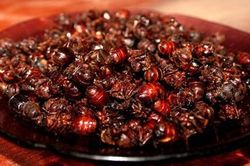 Kiến chiên và 12 món ăn lạ ở rạp chiếu phim