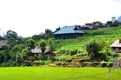 Xử lý nghiêm việc xâm hại Danh thắng quốc gia ruộng bậc thang Sa Pa