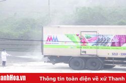 Bệnh dịch tả lợn châu Phi - nhận diện những con đường lây lan để phòng tránh