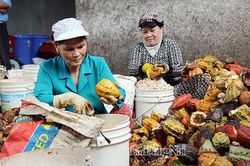 'Gỡ khó' 2 cụm công nghiệp chế biến nông sản