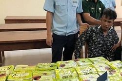Hải quan Hà Nội phát hiện 16 vụ buôn bán, vận chuyển ma túy