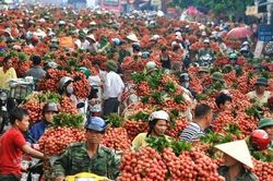 Không thể mãi xuất khẩu nông sản thô
