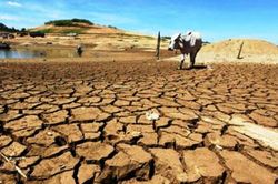 TIÊU ĐIỂM TRONG NGÀY: Phát triển tương lai từ 'nền đất chết'