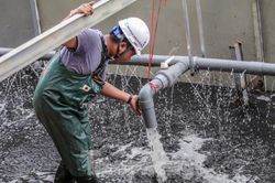 Bắt đầu xử lý bùn sông Tô Lịch thành khí CO2 bằng 'bảo bối' Nhật