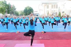 Ngày Quốc tế Yoga lần thứ 5 năm 2019 có chủ đề 'Yoga cho cuộc sống xanh'