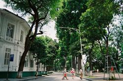 Từ ngày 9 đến 15-6: Chất lượng không khí được cải thiện