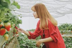 8 lý do để đến ngay thành phố không điều hòa Đà Lạt mùa hè này