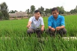 Nhà báo Dương Út - Báo Đồng Tháp: Điều quan trọng là phải chạm được vào trái tim độc giả