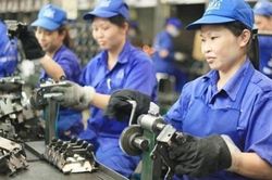 Quyết liệt giảm nợ đọng Bảo hiểm xã hội, đảm bảo quyền lợi cho người lao động