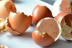 Chữa nhiều bệnh cực tốt từ 'thần dược' vỏ trứng