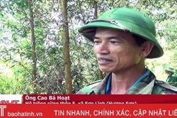 Phát triển rừng theo tiêu chuẩn của Hội đồng Quản lý rừng quốc tế tại Hương Sơn