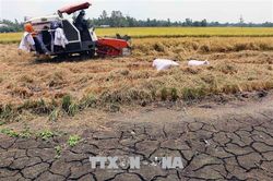 Thừa Thiên - Huế đối phó với hạn mặn xâm nhập
