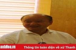 Cần chủ động tiếp cận với các hãng tàu vận tải, tăng cường liên kết với các cảng biển khác