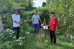 Câu lạc bộ Vườn thuốc nam - hoạt động nhỏ, ý nghĩa lớn