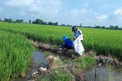 Chung tay bảo vệ môi trường trong sản xuất nông nghiệp