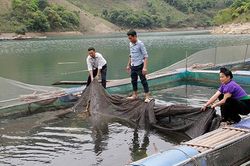 Đảng bộ xã Mường Khiêng tập trung lãnh đạo phát triển kinh tế