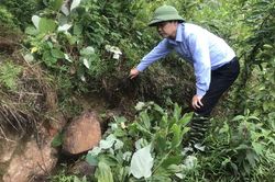 Cần xử lý triệt để tình trạng sạt lở ở Tân Thái