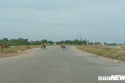 Cận cảnh dự án đường nghìn tỷ đồng dang dở, bỏ hoang, trở thành nơi chăn bò ở Nghệ An