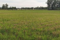 Huyện Quảng Xương (Thanh Hóa): Nhà thầu mất tích, 200 ha đất... 'đi hoang'